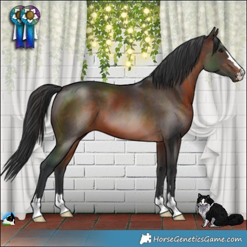 Horse Color:Brown 