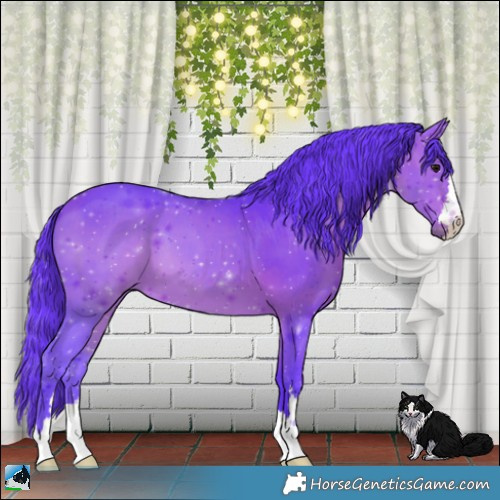 Horse Color:Watercolor Bay 