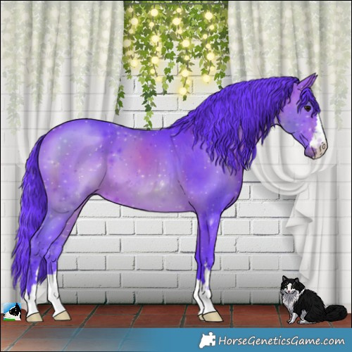 Horse Color:Watercolor Bay 