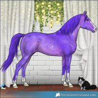 Horse Color:Watercolor Bay 