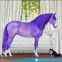 Horse Color:Watercolor Bay 