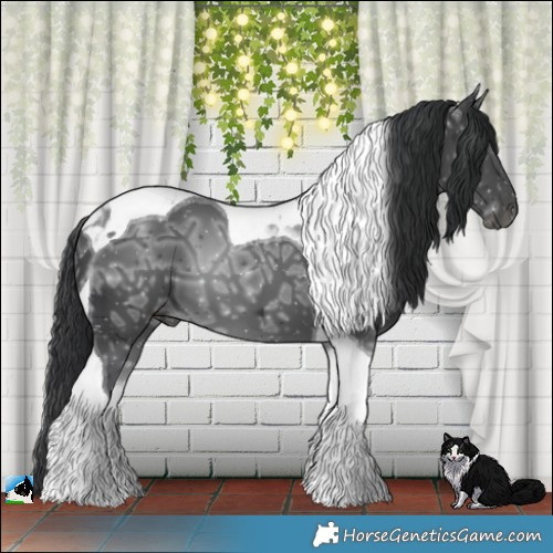 Horse Color:Black Ice Tobiano 