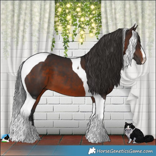 Horse Color:Brown Tobiano 