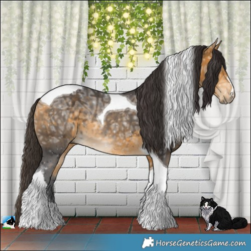 Horse Color:Buckskin Ice Tobiano 