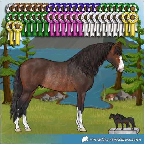 Horse Color:Brown Rabicano