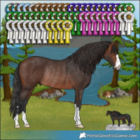 Horse Color:Brown Rabicano 