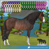 Horse Color:Brown Rabicano 