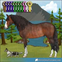 Horse Color:Brown Rabicano