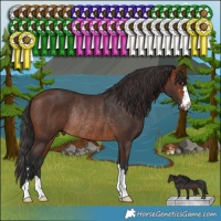 Horse Color:Brown Rabicano