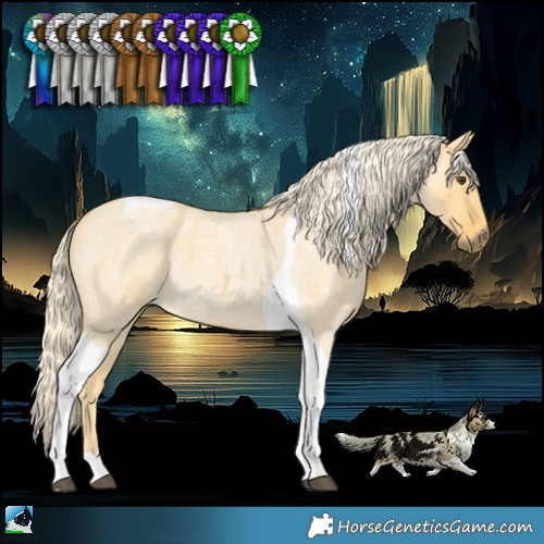 Horse Color:Palomino Roan Dun Tobiano 