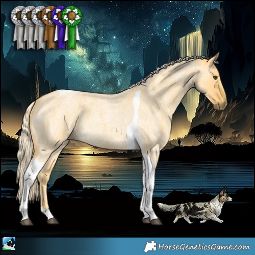 Horse Color:Palomino Roan Dun Tobiano 