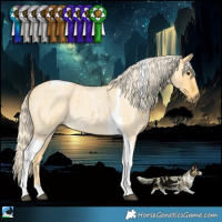 Horse Color:Palomino Roan Dun Tobiano