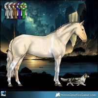 Horse Color:Palomino Roan Dun Tobiano