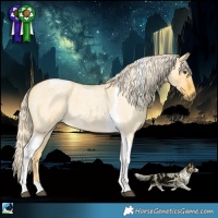 Horse Color:Palomino Roan Dun Tobiano