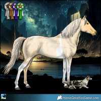 Horse Color:Palomino Roan Dun Tobiano 