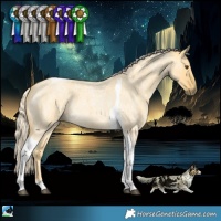 Horse Color:Palomino Roan Dun Tobiano 