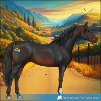Horse Color:Brown 