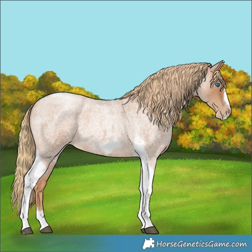 Horse Color:Red Roan Pearl Tobiano Frame 