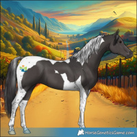 Horse Color:Smoky Black Tobiano 