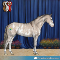 Horse Color:Liver Red Dun Mushroom Sabino