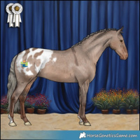 Horse Color:Liver Red Dun Mushroom Appaloosa