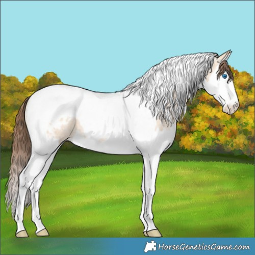 Horse Color:Bay Ice Dun Splash Tobiano Varnish Rabicano 