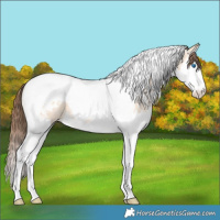 Horse Color:Bay Ice Dun Splash Tobiano Varnish Rabicano 