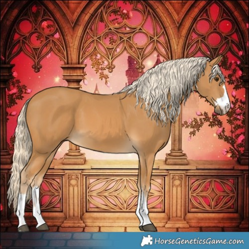 Horse Color:Palomino 