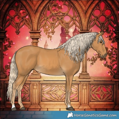 Horse Color:Palomino 