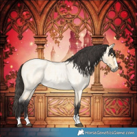 Horse Color:Buckskin Roan Dun 