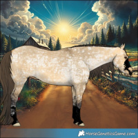 Horse Color:Void Buckskin Ice Dun 