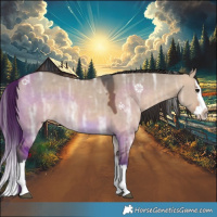 Horse Color:Bay Ice Dun Splash 