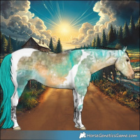 Horse Color:Buckskin Ice Dun Tobiano 