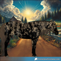 Horse Color:Void Buckskin Ice Dun Sabino