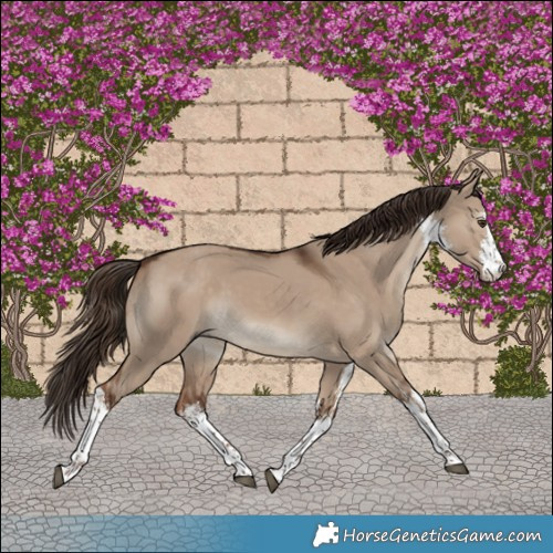 Horse Color:White Spotted Liver Red Dun Rabicano