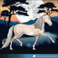 Horse Color:Silver Classic Champagne Dun Splash Frame 
