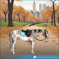 Horse Color:White Spotted Bay Roan Splash Frame 