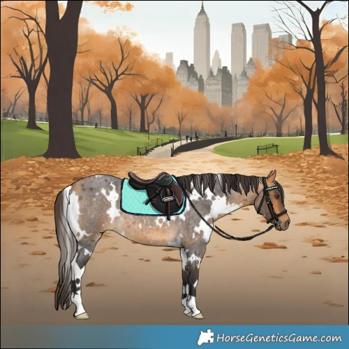 Horse Color:White Spotted Buckskin Roan 