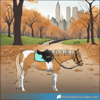 Horse Color:Palomino Tobiano 