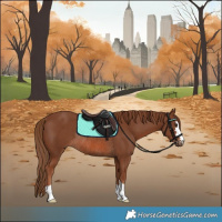 Horse Color:Chestnut Rabicano 
