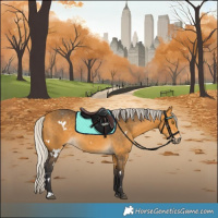 Horse Color:White Spotted Silver Buckskin