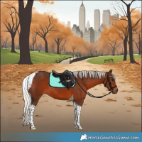 Horse Color:Silver Brown Tobiano 