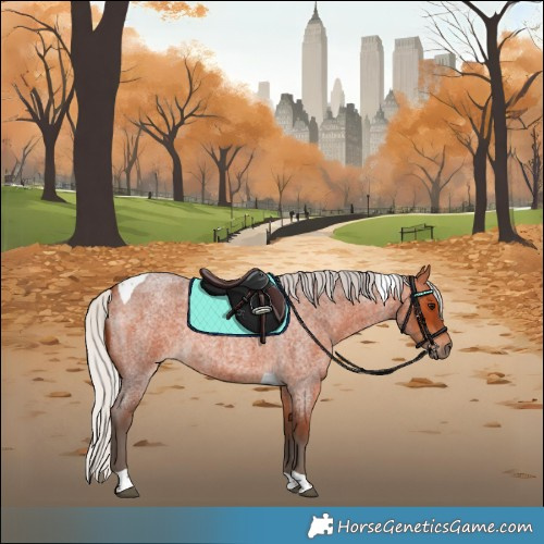 Horse Color:Silver Bay Roan Tobiano