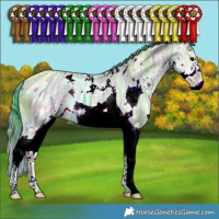 Horse Color:ERROR: UNKNOWN ANOMALY