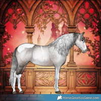 Horse Color:Gray Bay Splash Tobiano 