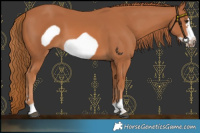 Horse Color:Chestnut Frame 