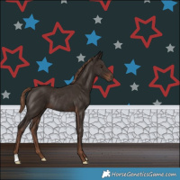 Horse Color:Liver Chestnut Rabicano 