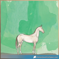 Horse Color:Buckskin Pearl Dun 