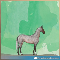 Horse Color:Silver Brown Roan Rabicano 
