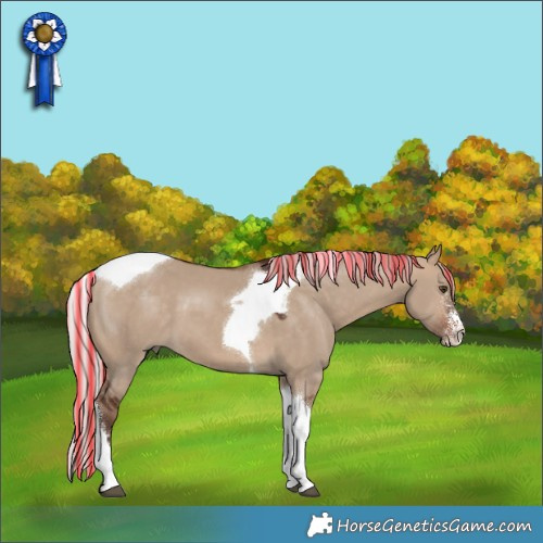 Horse Color:Painted Silver Brown Dun Sabino Tobiano 